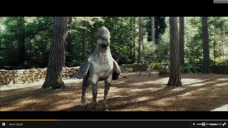 Гарри поттер полет на гиппогрифе