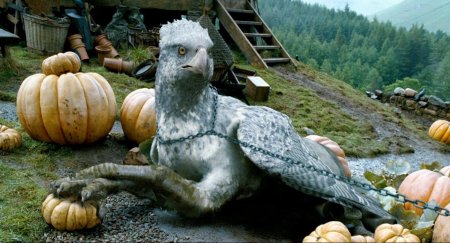 Клювокрыл из гарри поттера