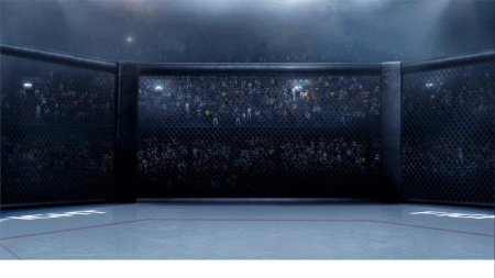 Октагон сетка ММА