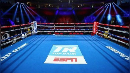 Бойцовский ринг юфс