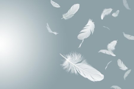 Фон с пером