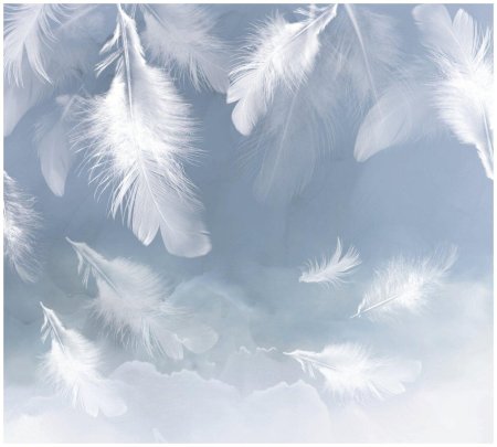 Фотообои перо