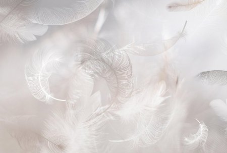 Светлые фоны