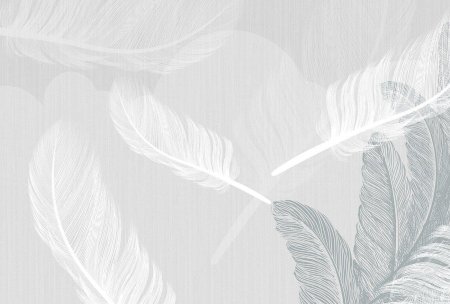 Серое перо на белом фоне