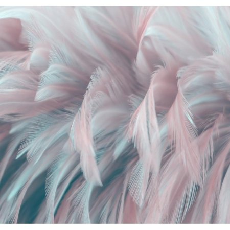 Verol фотообои перья