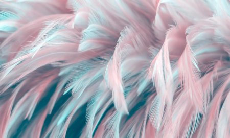 Розовые перья фон