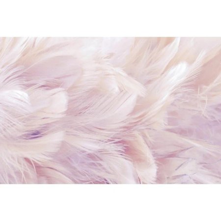 Розовые перья фон