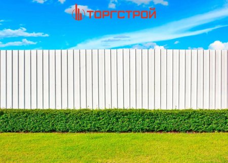 Белый забор на даче