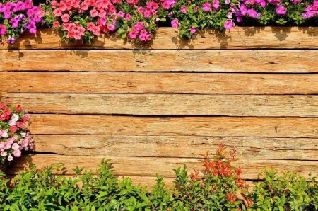 Забор с цветами