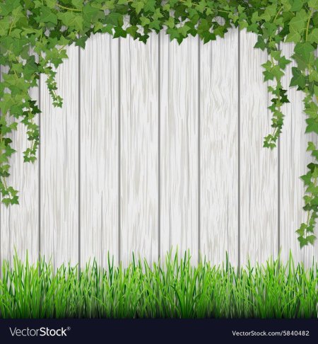 Белый забор зелень