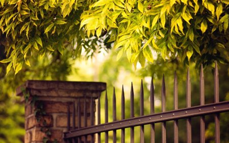 Лист для забора