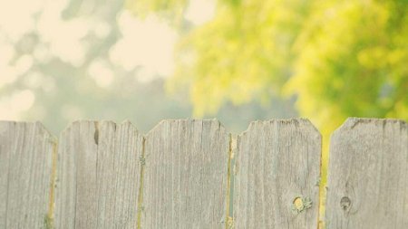 Забор белый