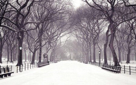 Central park winter