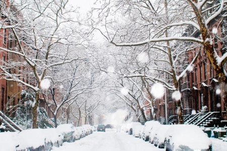 New york winter