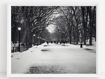 Централ парк Нью Йорк зима