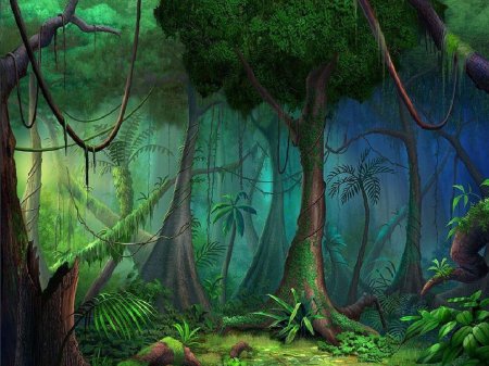 Джунгли картун