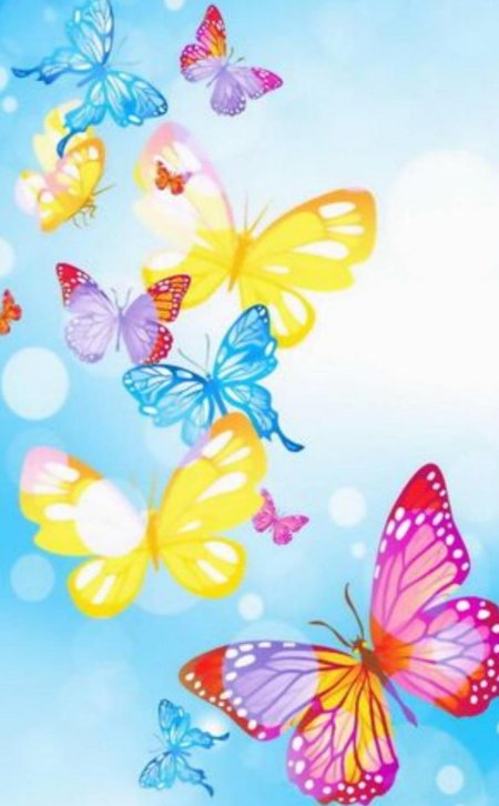 Разноцветная бабочка