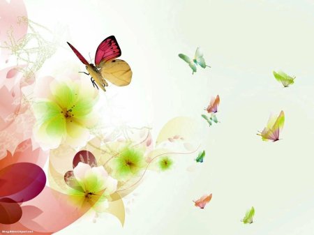 Фон цветы бабочки