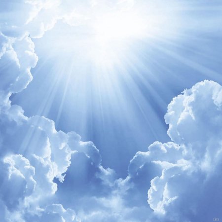 Именины Елизаветы