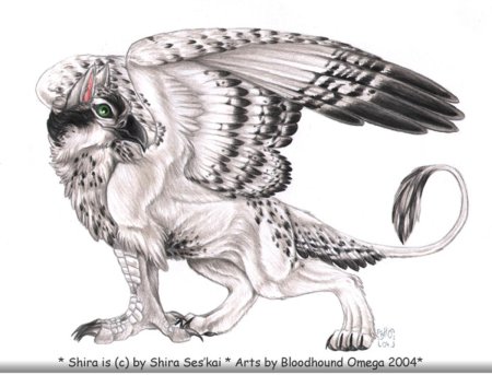 Совиный Грифон мифическое существо