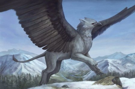 Грифон полулев полуорел