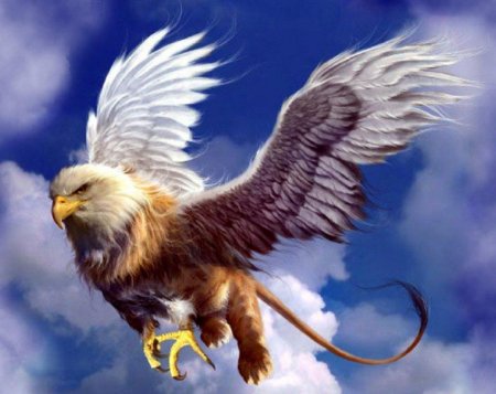 Белый грифон арт