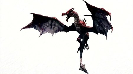 Дракон без фона