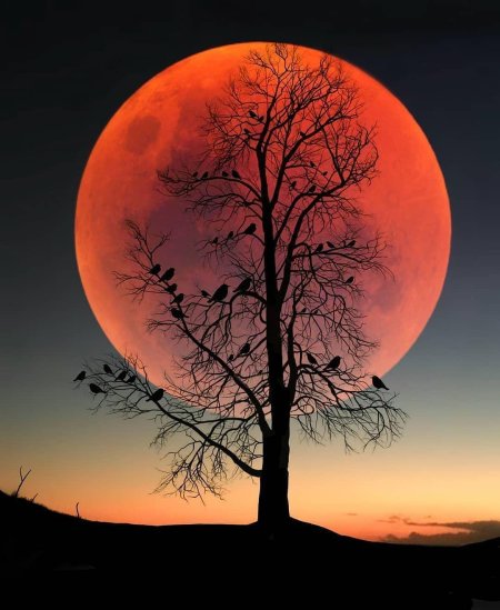 Красная луна