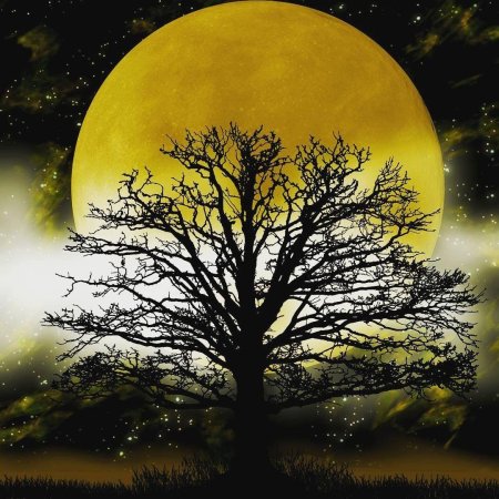 Лунные деревья