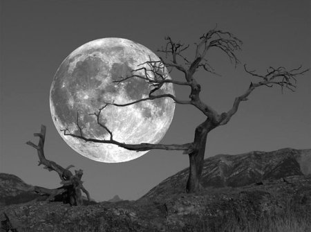 Лунный пейзаж