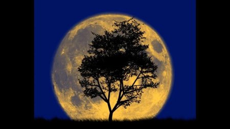 Огромная Луна