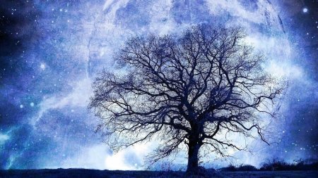 Дерево в космосе