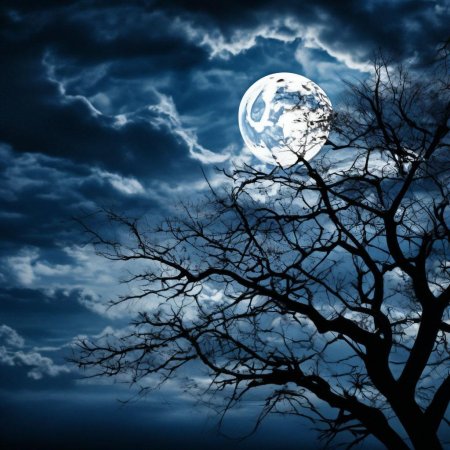 Ночное небо с луной