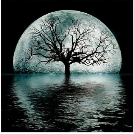 Дерево в лунном свете