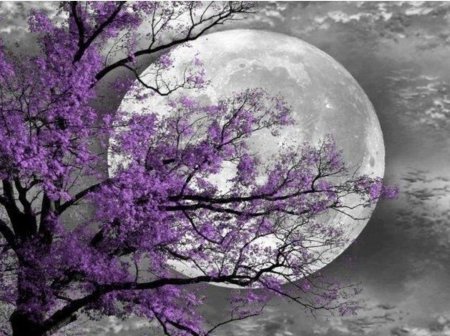 Фиолетовый пейзаж