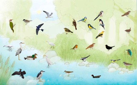 Перелетные птицы для детей