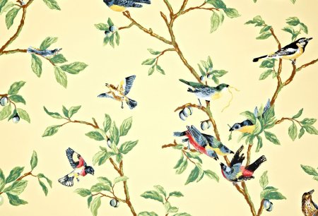 Птичка Шинуазри