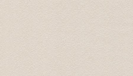 BN International Grand Safari 220521