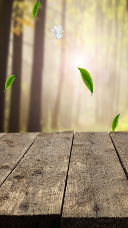 Фоны дерево