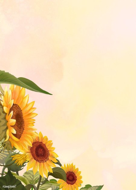 Подсолнухи рисунки