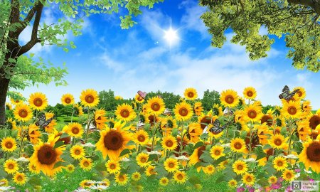 Пейзаж с подсолнухами