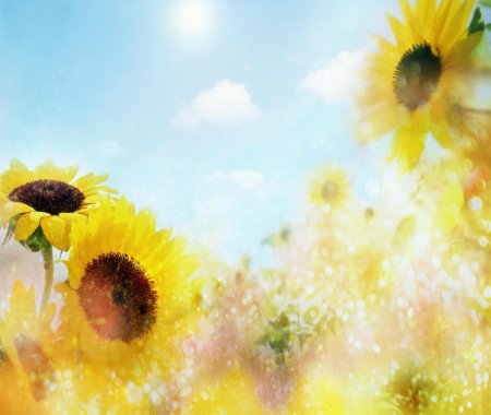 Красивый летний фон