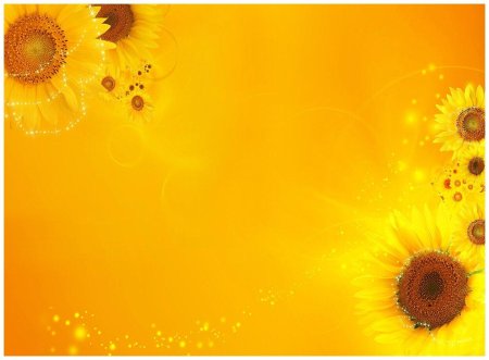 Подсолнухи на желтом фоне