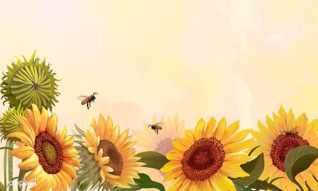 Открытка с подсолнухами