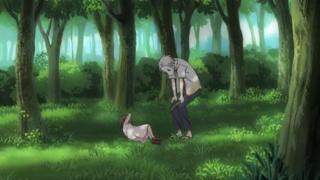 Лес Шикоцу Наруто