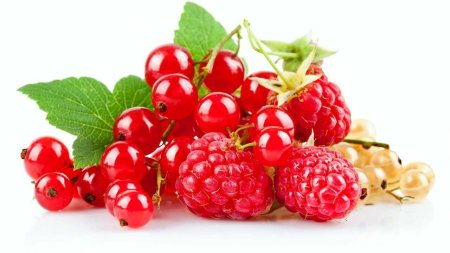 Ягоды малина и смородина