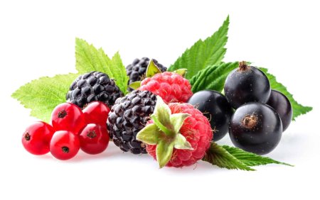 Ягоды на белом фоне