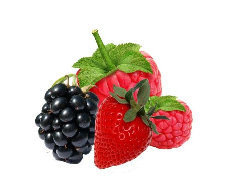 Ежевика и малина на белом фоне
