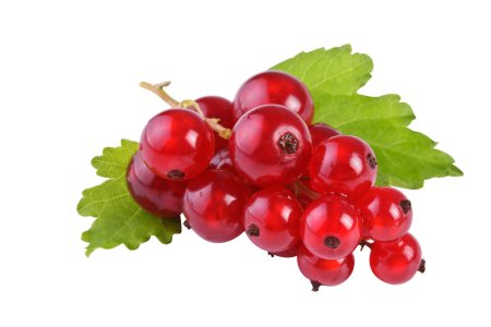 Смородина Виксне (красная темно-Вишневая)