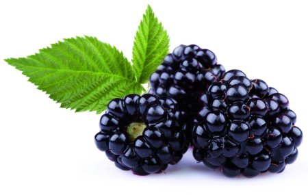 Ежевика Белгород